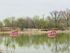 -天津水上公园