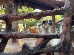 -长鹿旅游休博园