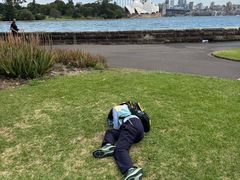-悉尼歌剧院
