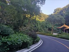 -广州市帽峰山景区