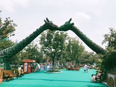 -苏州乐园森林水世界