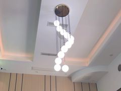 -半岛宠物医院24小时(科华中路店)
