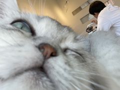 -怪兽屋·羊驼·猫咖·狗咖(俊华广场店)