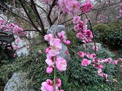 -黄鹤楼