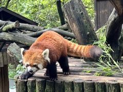-云南野生动物园