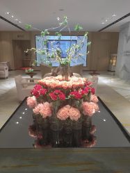 -广东韩妃整形外科医院