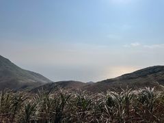 -嵛山岛