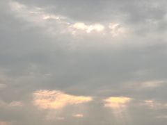 -大湾区中央湿地公园