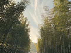 -天目湖御水温泉·度假酒店