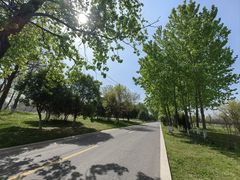 -汉长安城未央宫国家考古遗址公园