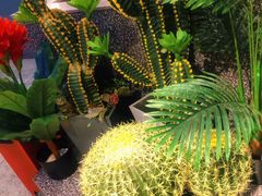 -大河宴椒麻鱼(嘉和园店)