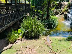 -热带雨林自然公园