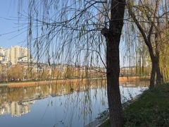 -洛阳市隋唐城遗址植物园