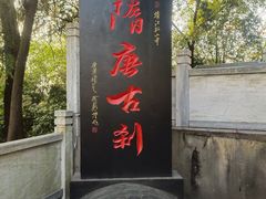 -孤山景区-孤山寺