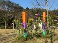 -云溪植物园