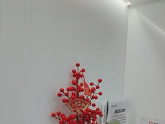 -牙博士口腔品牌连锁(杨浦店)