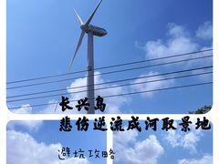 -上海长兴岛郊野公园