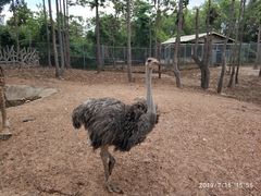 -清迈夜间动物园