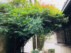 景点-乌镇东栅景区-茅盾故居