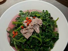 -张家卫·阳江菜·小海鲜(肥婆湾桥店)