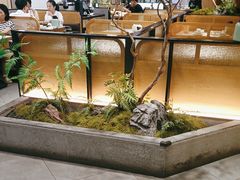 -大榕树下顺德菜(金沙洲永旺店)