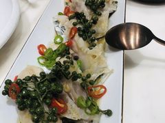 -点都德·毕德寮