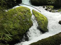 -神农架香溪源景区