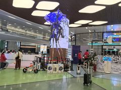 -杭州萧山国际机场