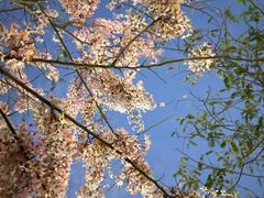 -白石龙音乐公园