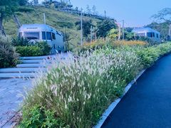 -香山湖公园