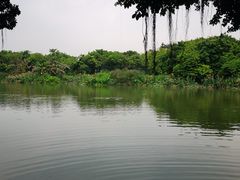 -小洲村