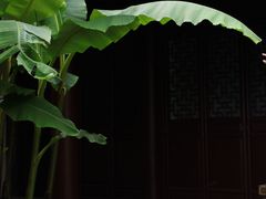 -孔氏南宗家庙