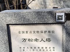 -万松老人塔