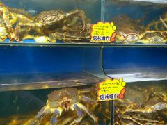 水产区-蚝专家(北滘店)