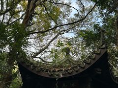 -杭州半山国家森林公园