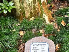-静安公园(静安寺街道)