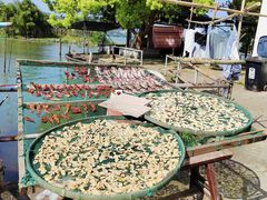 -东钱湖旅游度假区