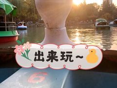 -西苑公园