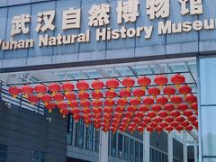 -武汉园博园(武汉自然博物馆)