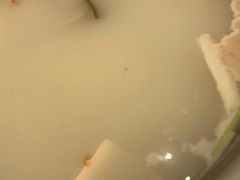 -小叫驴养生驴肉火锅(龙游店)