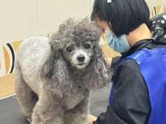 -总动员动物医院(宝丰院店)
