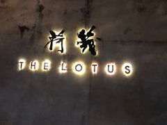 -几荷·恰似故人来(秀水广场店)