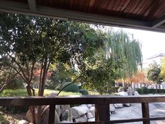 -唐城墙遗址公园