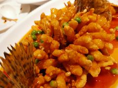 松鼠桂鱼-峨嵋酒家总店(车公庄店)