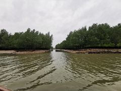 -东寨港红树林旅游区