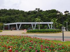 -野狸岛