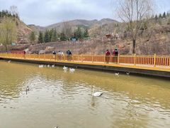 -青藏高原野生动物园