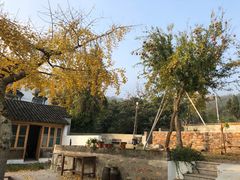 -梨云山居农家乐