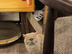 -Double cafe
