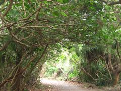 -龙坑生态保护区